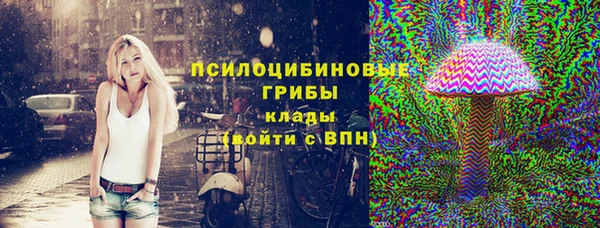 a pvp Дмитриев